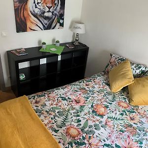 Deluxe Appartement